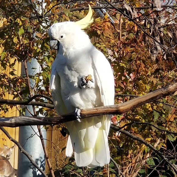 Meet your Posher, JG💫💕 - Picture 2 of 4